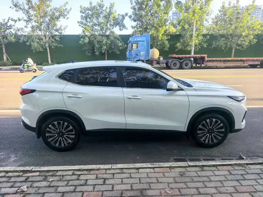 Changan Oshan X5 2023 — фото 4