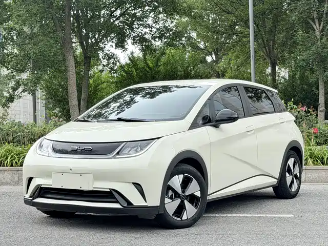 2023 BYD Dolphin
