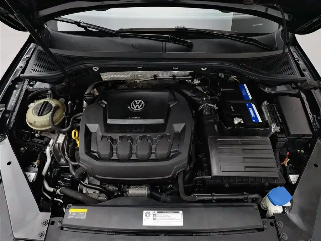Volkswagen Magotan 2019 330TSI DSG Lead V