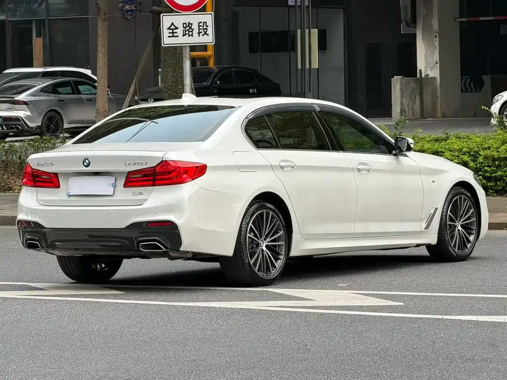 BMW 5 Series 5 2020 530Li Premium M Sport