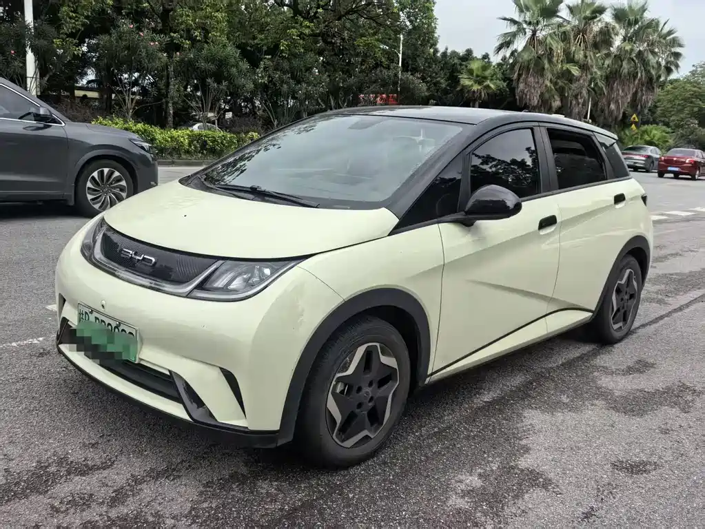 BYD Dolphin