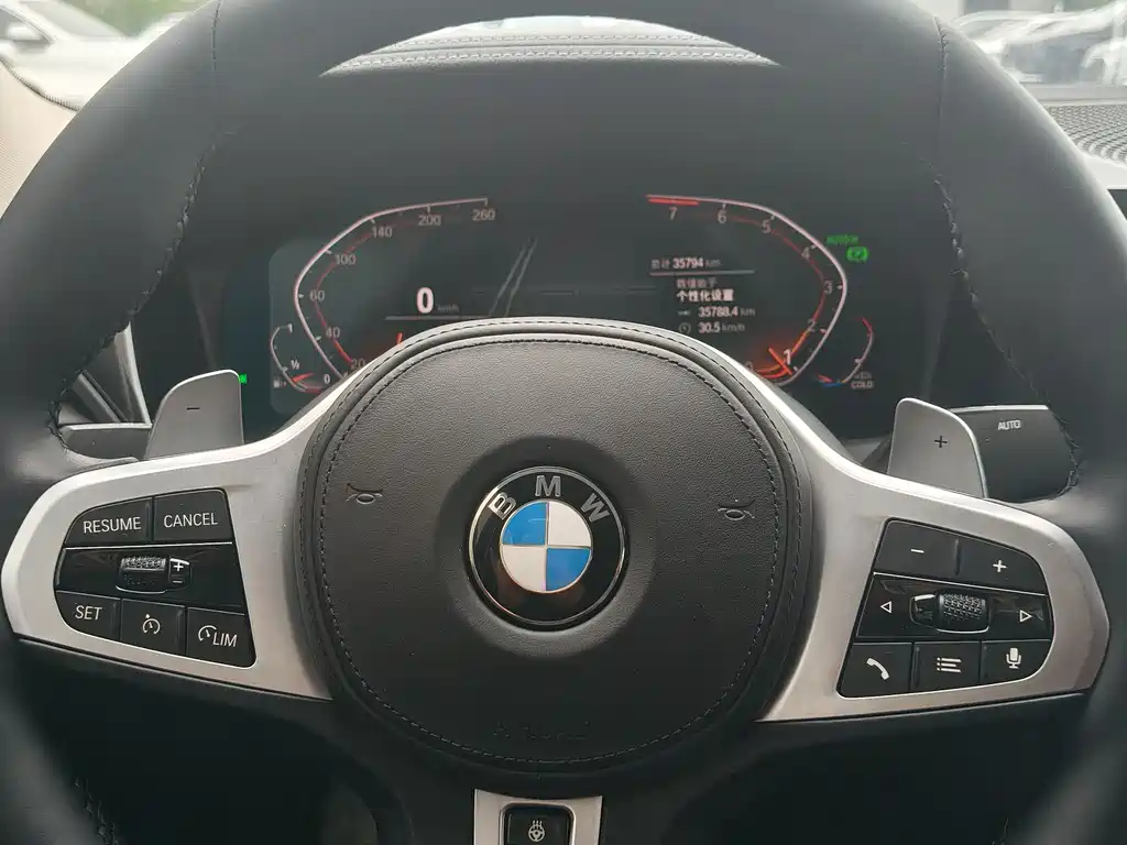 BMW 3 Series 3 2022 320Li M Sport