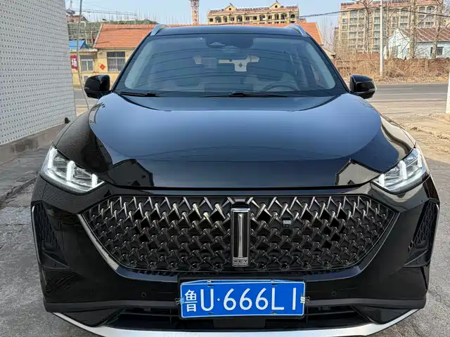 WEI PAI MACCHIATO DHT 2022