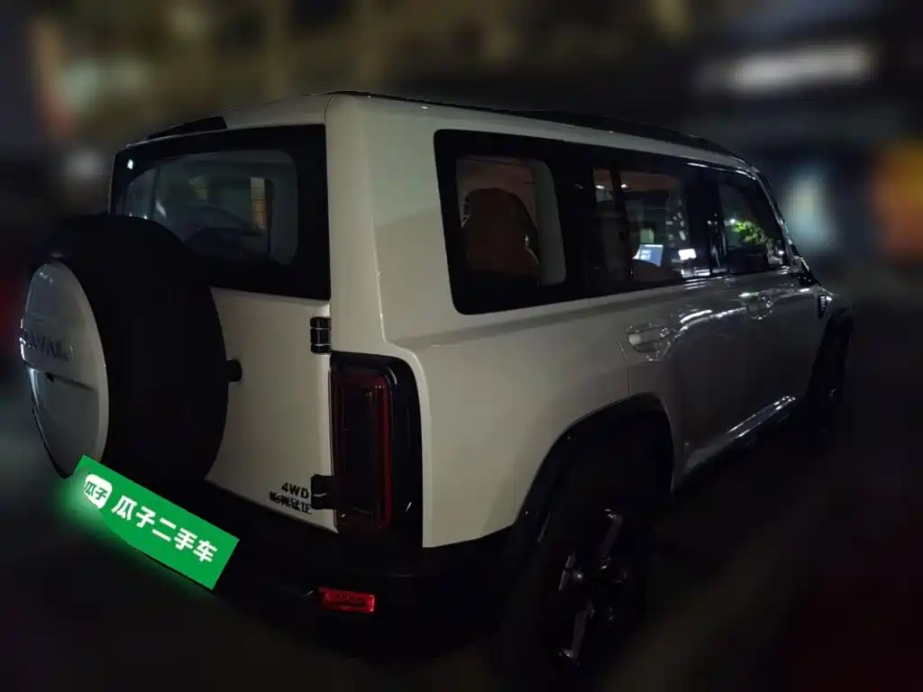 Haval Menglong Petrol 2.0T 4WD Pro, фото 4