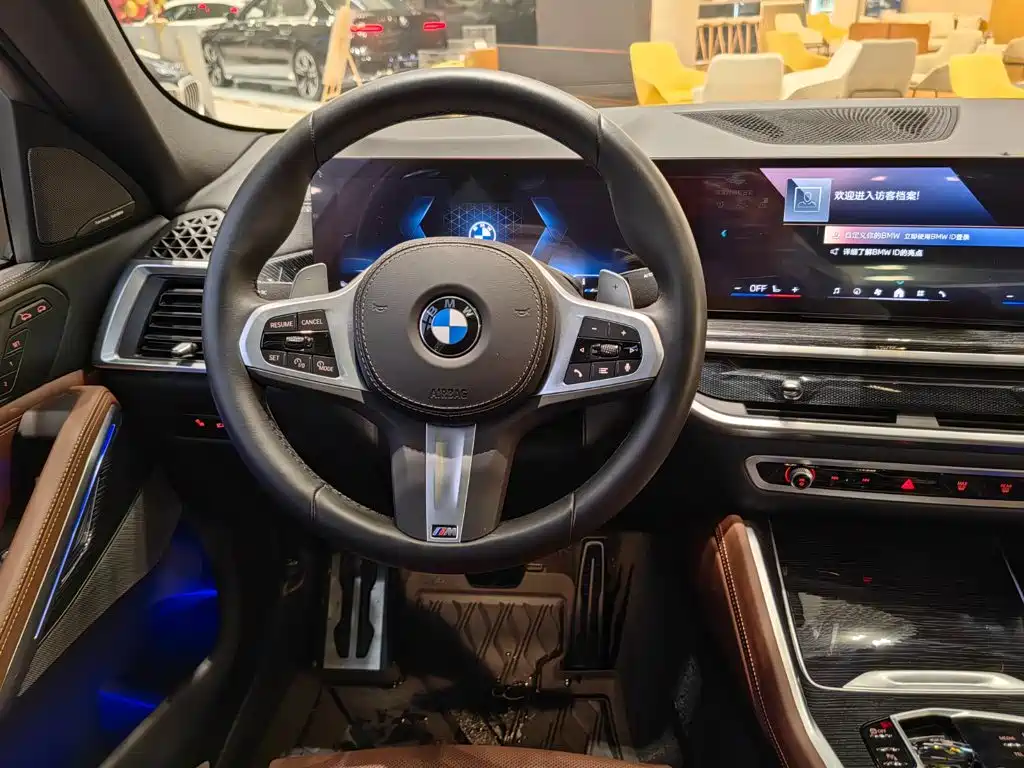 BMW X6 — миниатюра 9