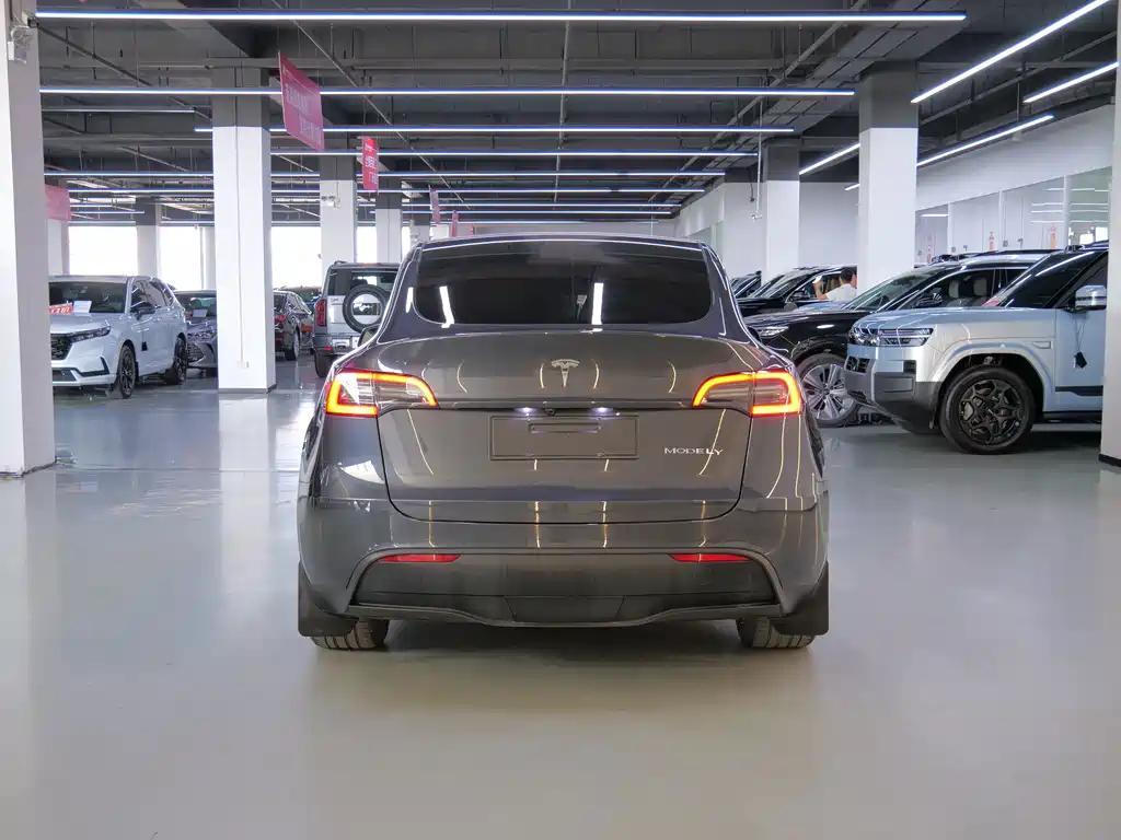 Tesla Model Y — миниатюра 7