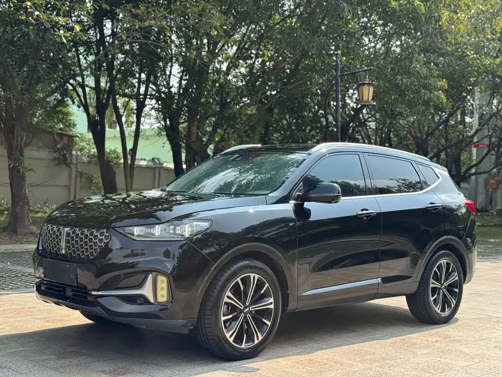 Wey Wey VV6