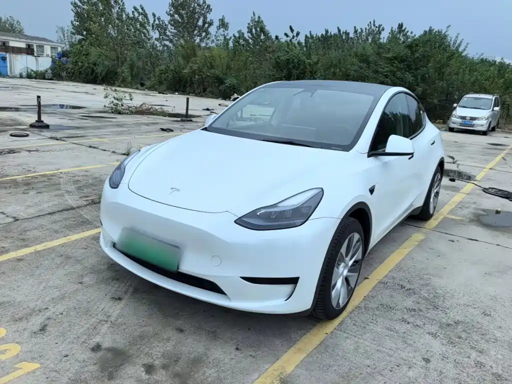 Tesla Model Y — миниатюра 2