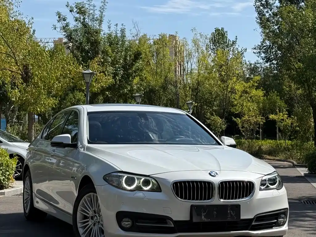 BMW 5 Series — миниатюра 19