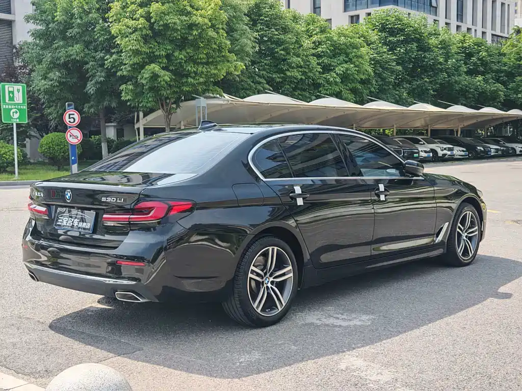 BMW 5 Series 5 2022 530Li Lead Luxury