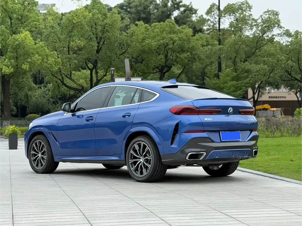 BMW X6 2020 xDrive40i M Sport
