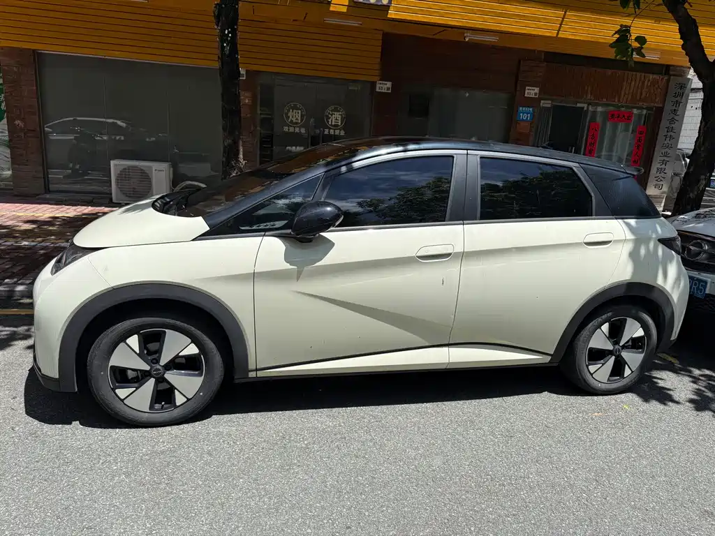 BYD Dolphin 2024 420km Fashion
