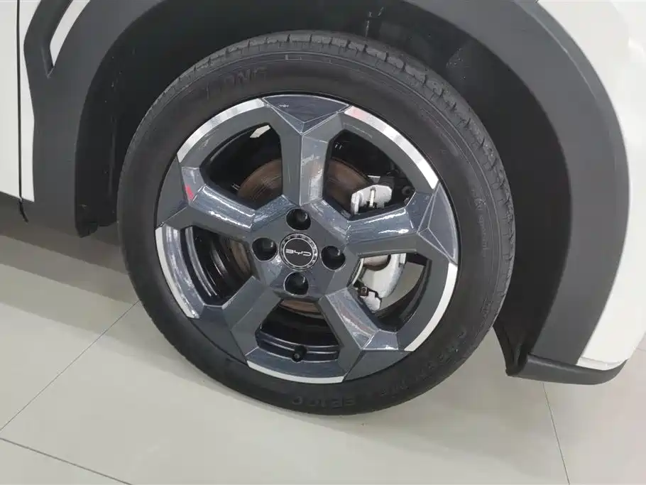 BYD Seagull 2024 305km Freedom
