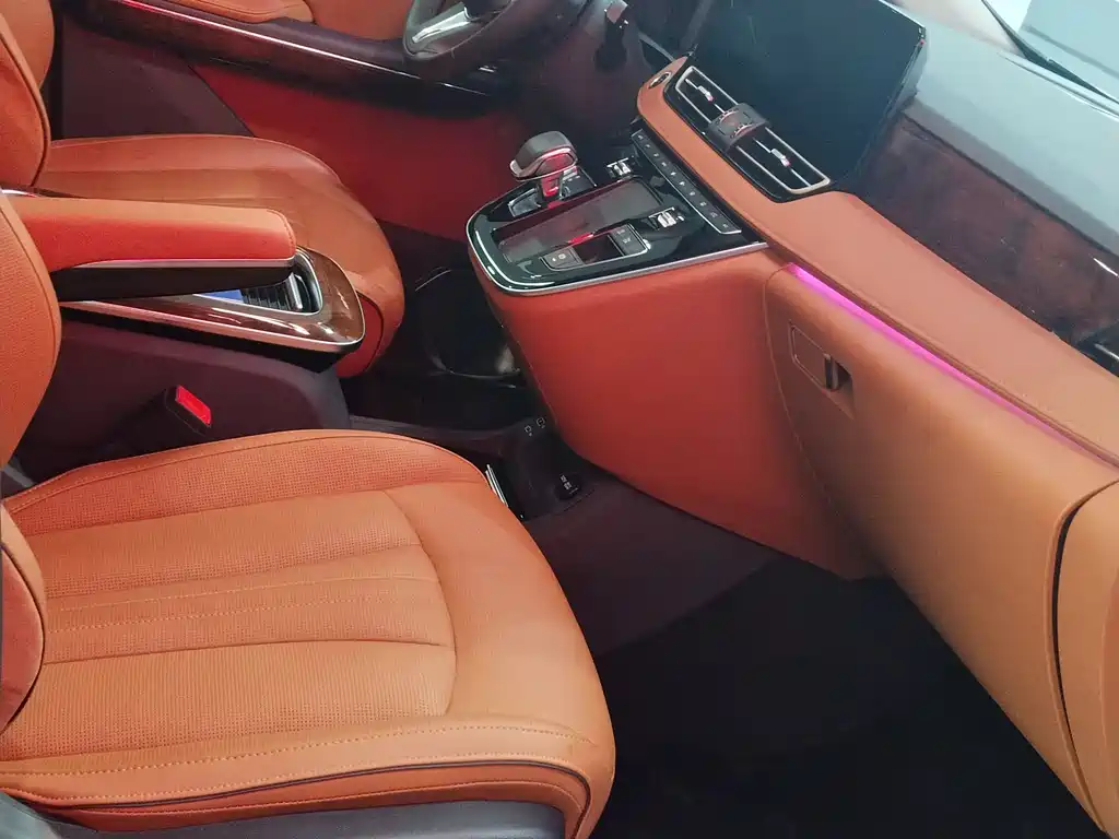 Hongqi HQ9 2023 2.0T