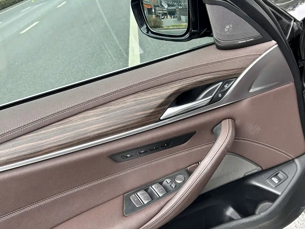 BMW 5 Series 5 2021 530Li Premium Luxury