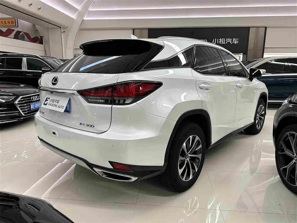 Lexus RX - фото 21