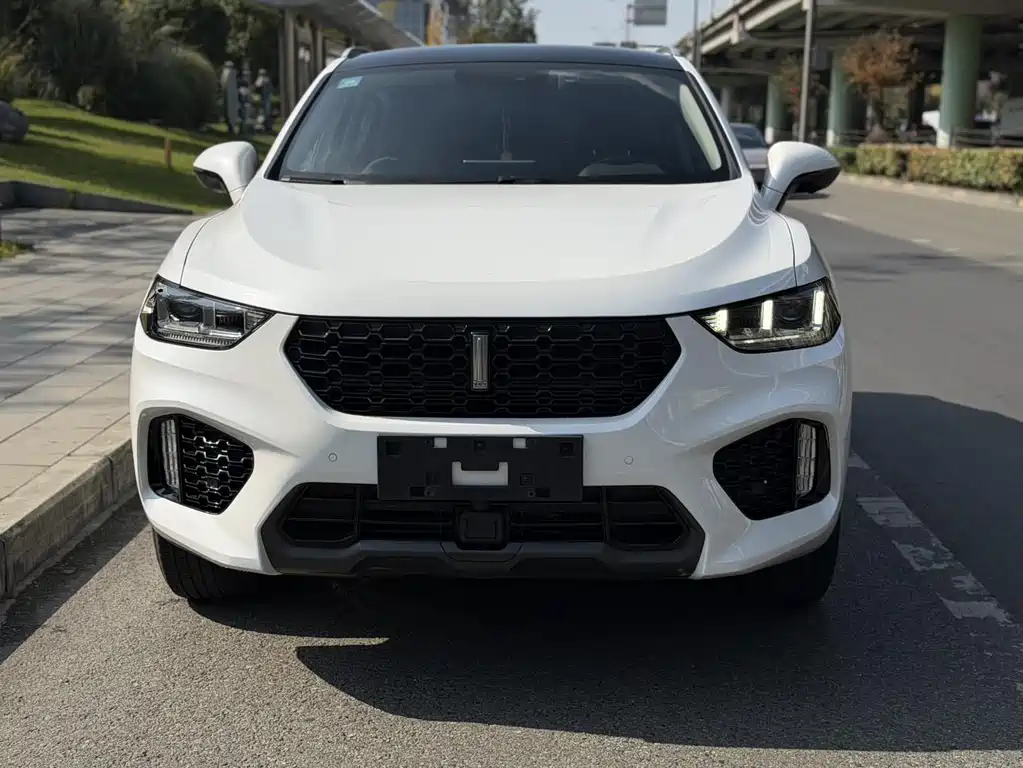 WEI PAI WEI BRAND VV5