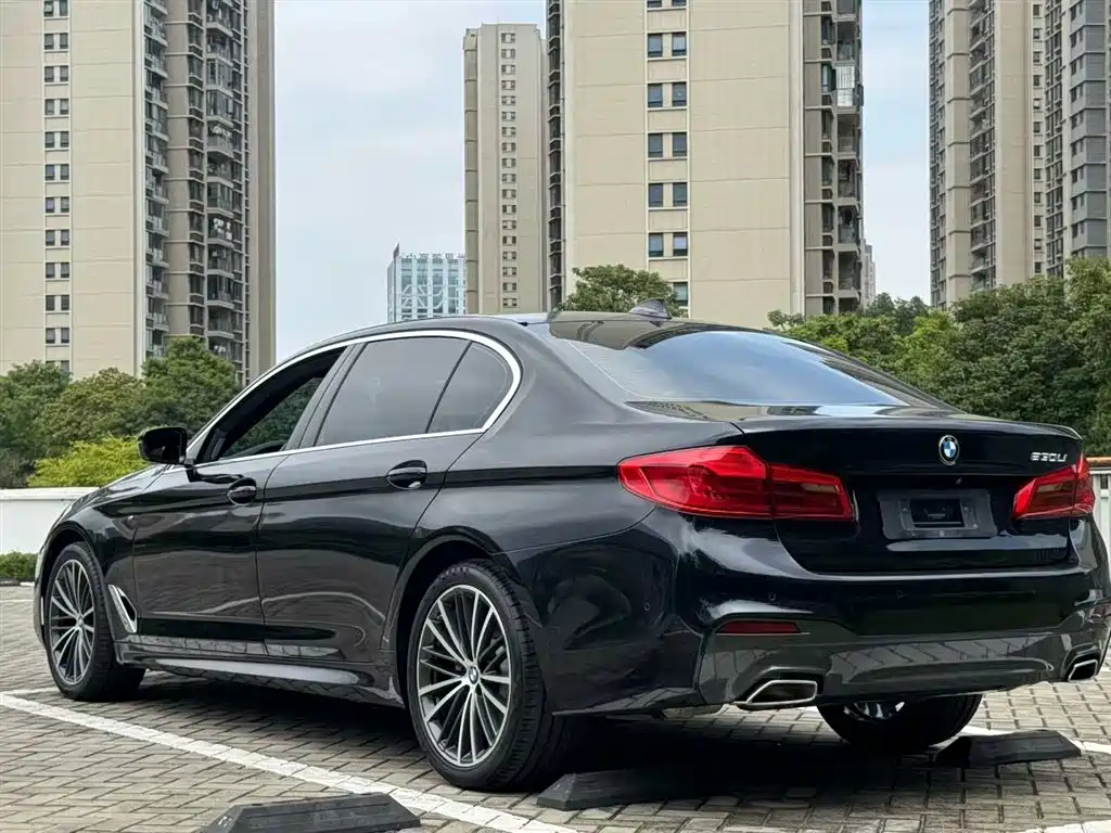 BMW 5 Series 5 2020 530Li Premium M Sport