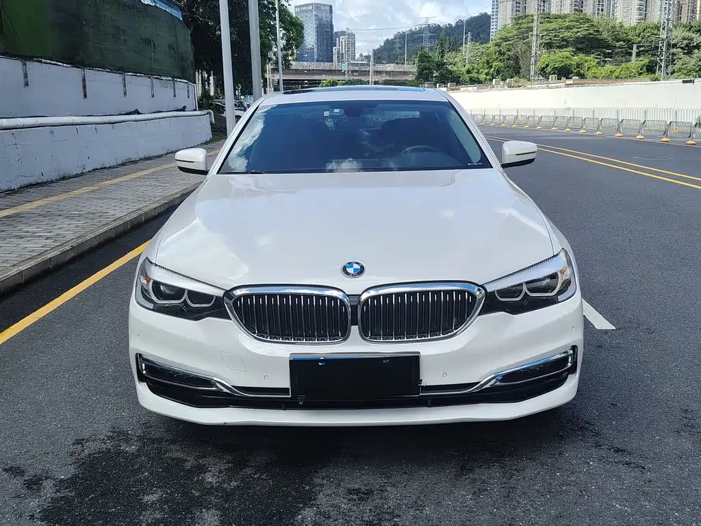 BMW 5 Series 5 2019 530Li Lead Luxury