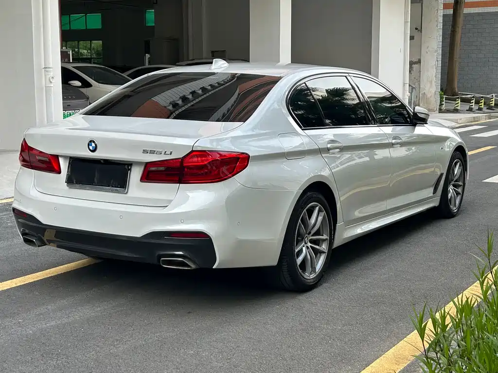 BMW 5 Series 5 2019 525Li M Sport