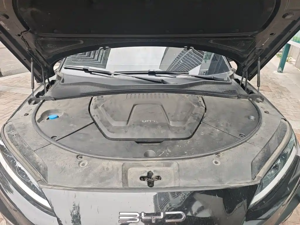 BYD PLUS New Energy — миниатюра 21