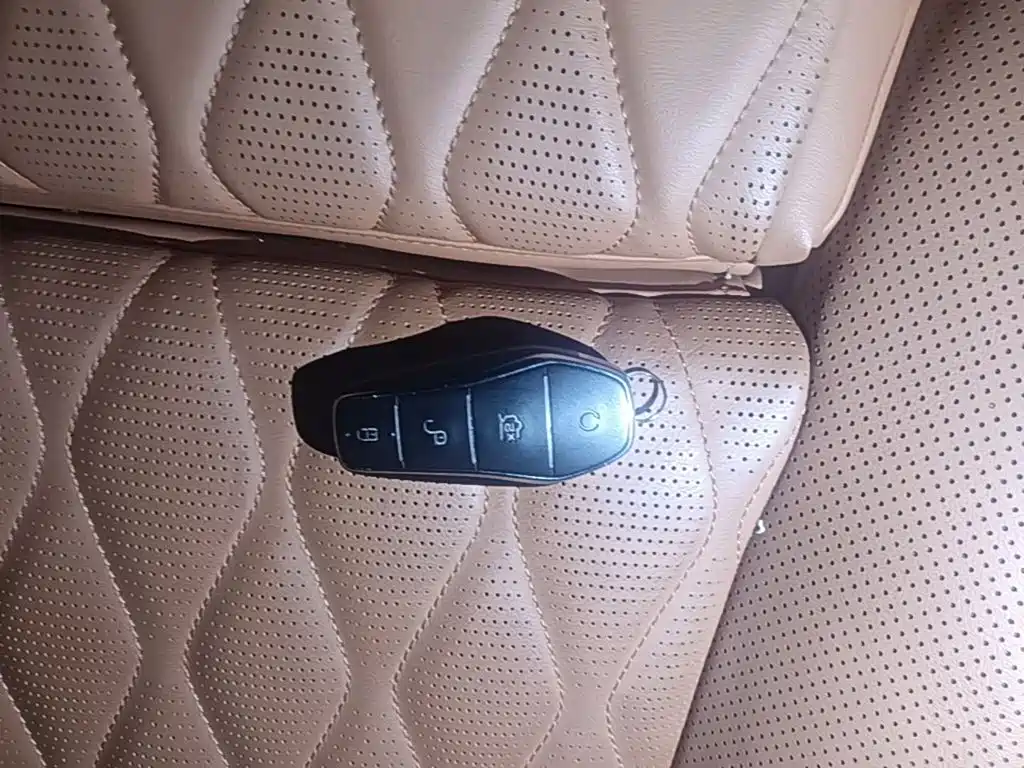 BYD Tang New Energy — миниатюра 10