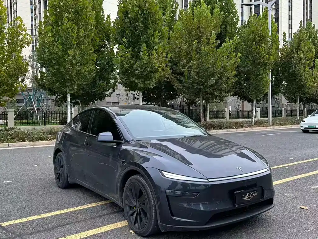 Tesla Model Y — миниатюра 2