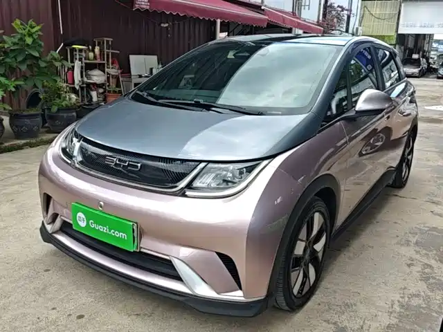2023 BYD Dolphin