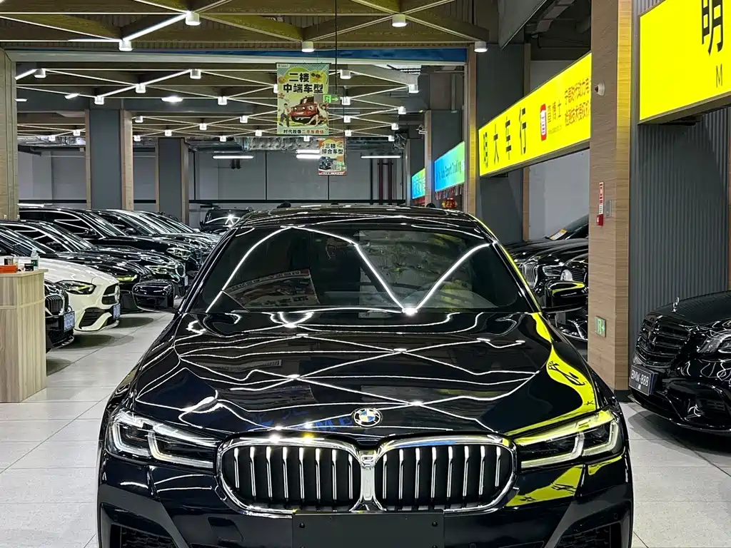 BMW 5 Series — миниатюра 4
