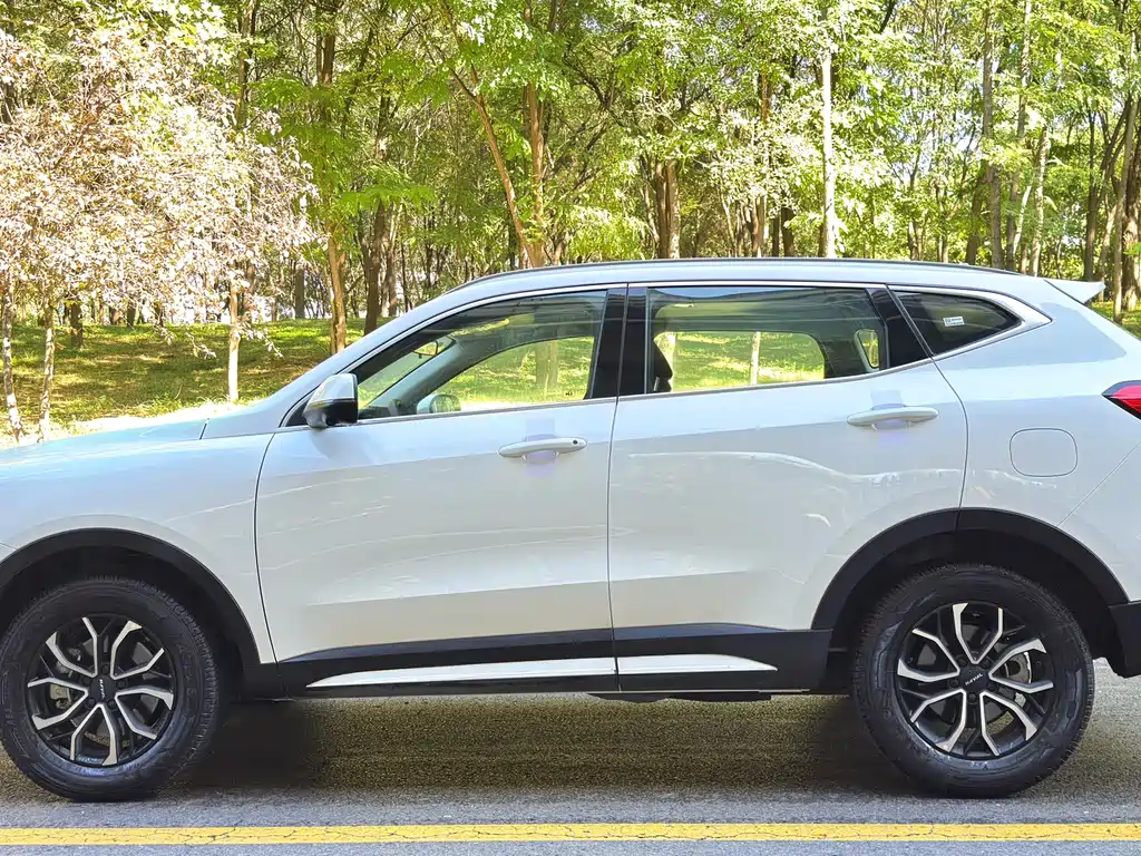 Haval H6 — миниатюра 3