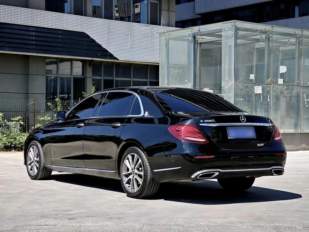Mercedes-Benz E-Class E 2019 E 300 L Luxury