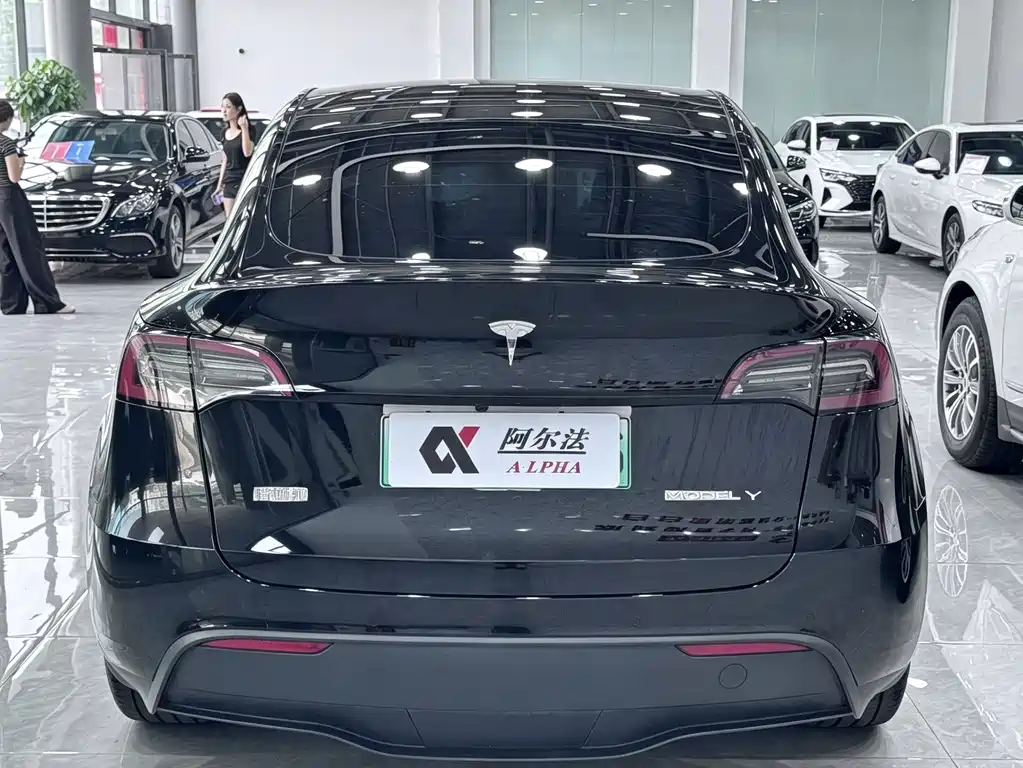 Tesla Model Y — миниатюра 5