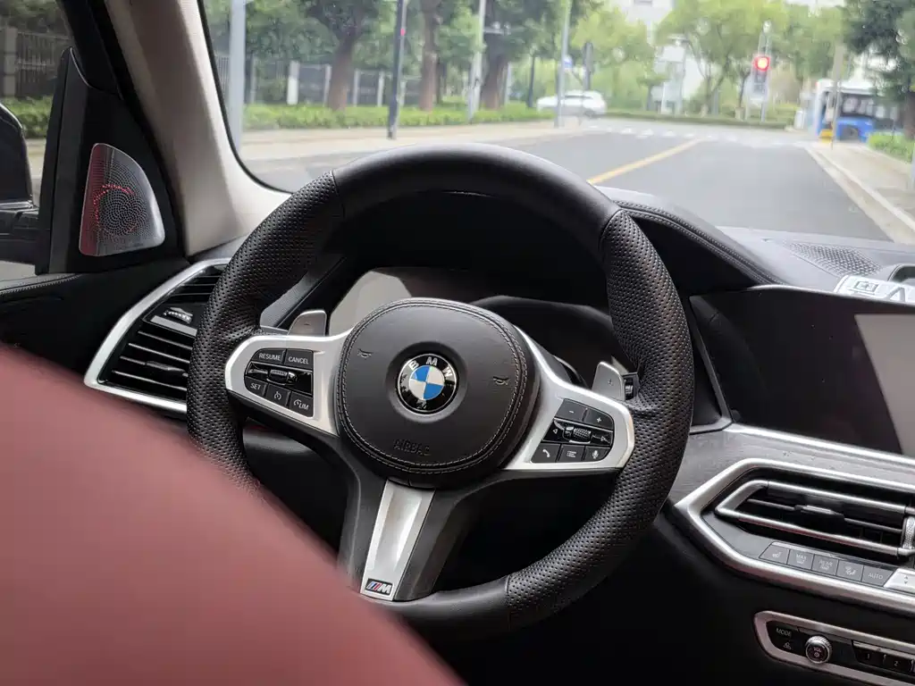 BMW X5 (Import) — миниатюра 10
