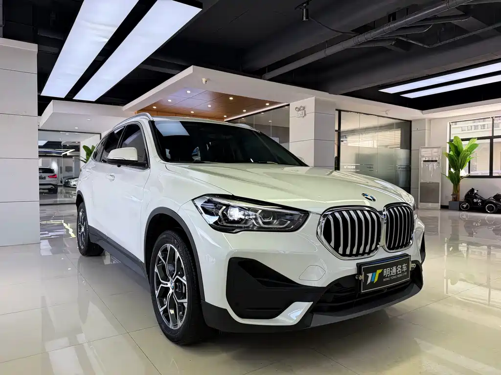 BMW X1 — миниатюра 2