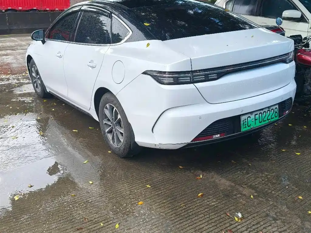 BYD Destroyer 05 2024 DM-i 55KM Luxury