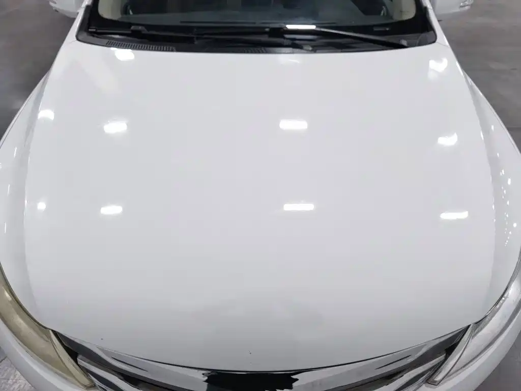BYD Surui — миниатюра 6
