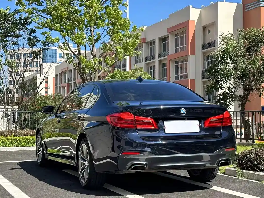 BMW 5 Series 5 2019 525Li M Sport