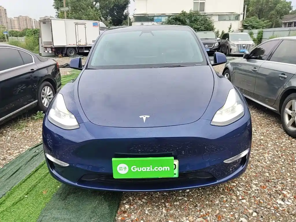 Tesla Model Y — миниатюра 3