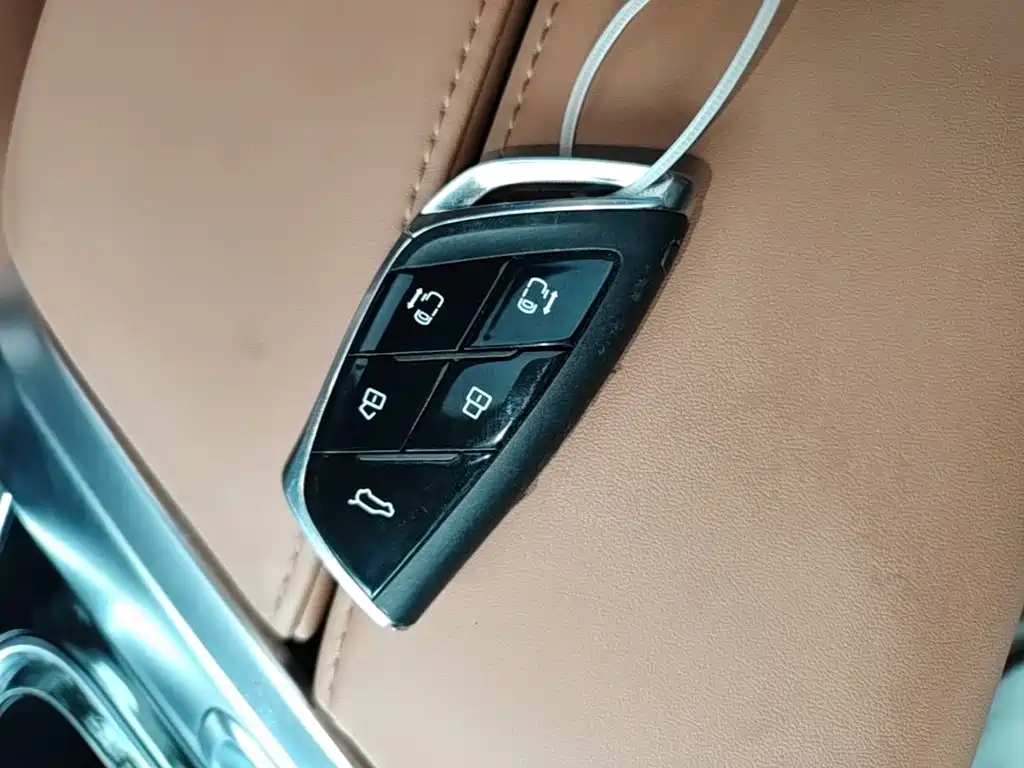 Maxus Dajia 9 — миниатюра 9