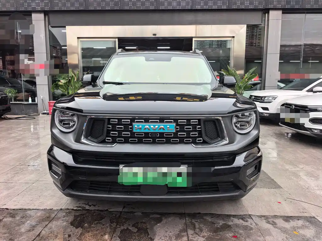 Haval Big Dog PLUS New Energy — миниатюра 2