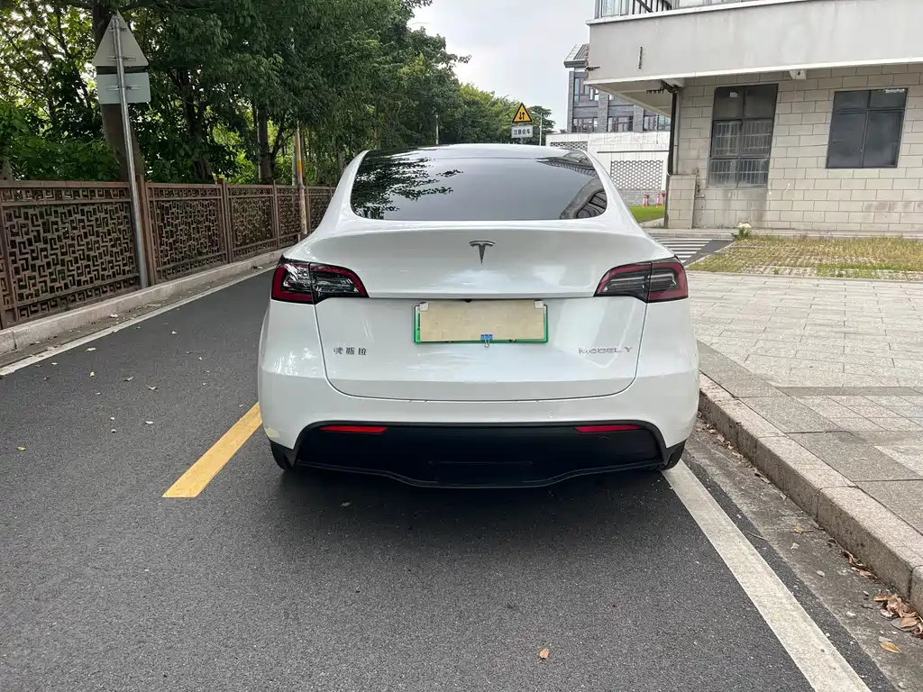 Tesla Model Y — миниатюра 5