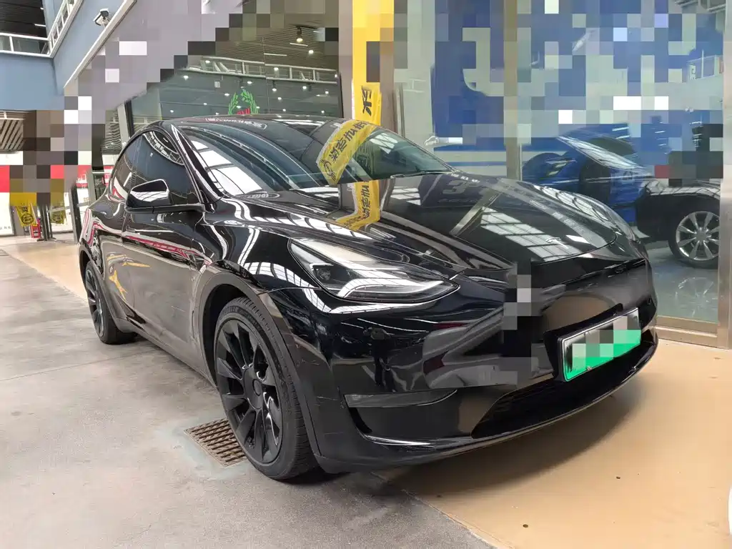 Tesla Model Y — миниатюра 3