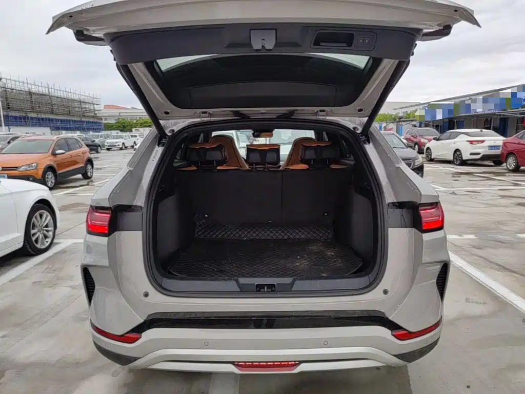 BYD PLUS New Energy — миниатюра 19