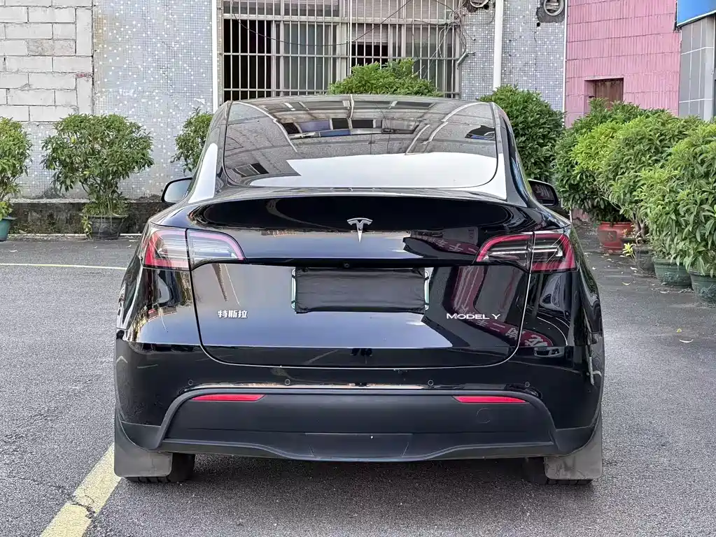 Tesla Model Y — миниатюра 12