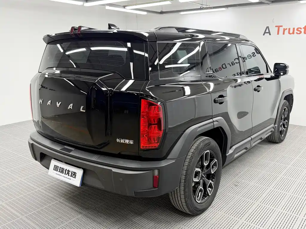 Haval Cool Dog — миниатюра 5