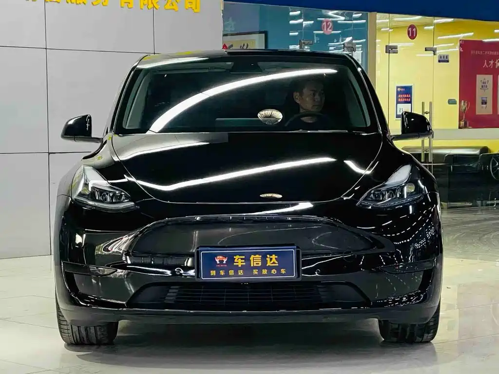 Tesla Model Y — миниатюра 2
