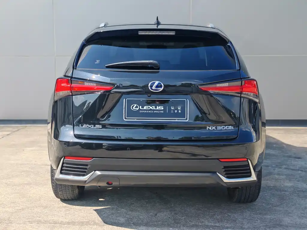 Lexus NX — миниатюра 3