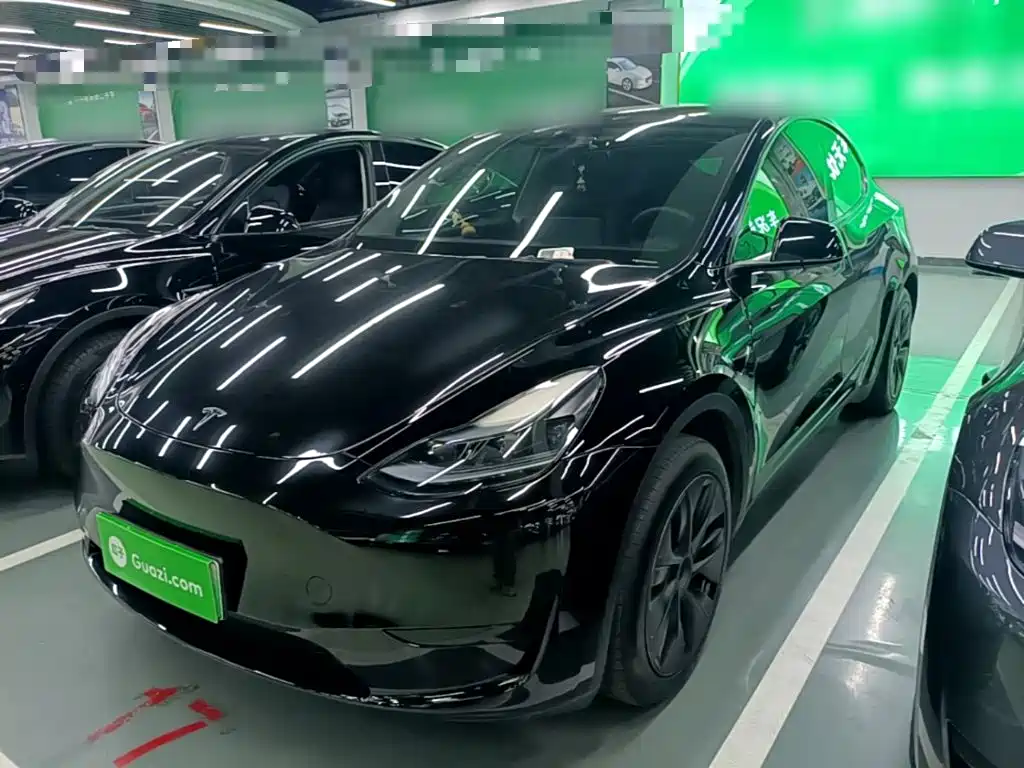 Tesla Model Y — миниатюра 2