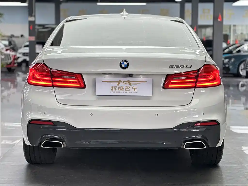 BMW 5 Series — миниатюра 4