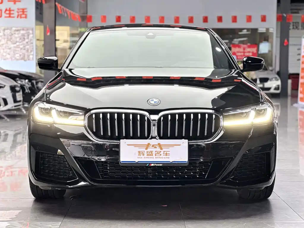 BMW 5 Series — миниатюра 2